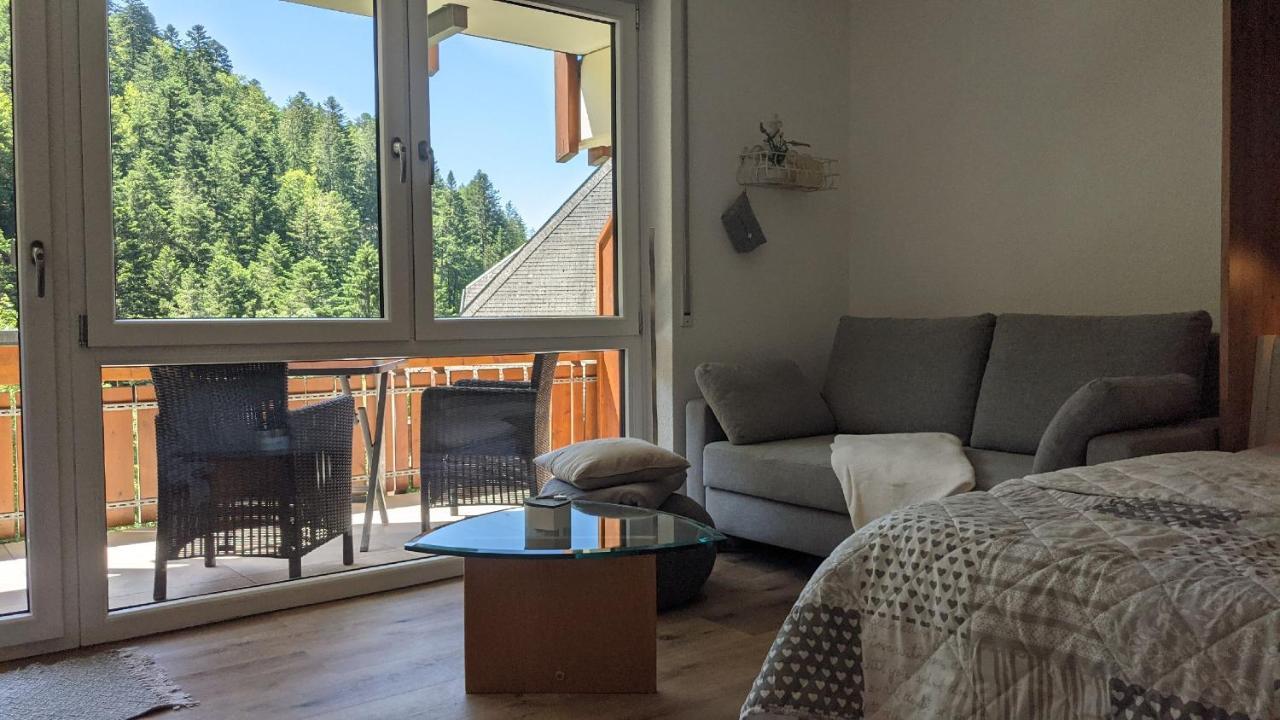 Sonnenstrahl Apartment Todtmoos Luaran gambar